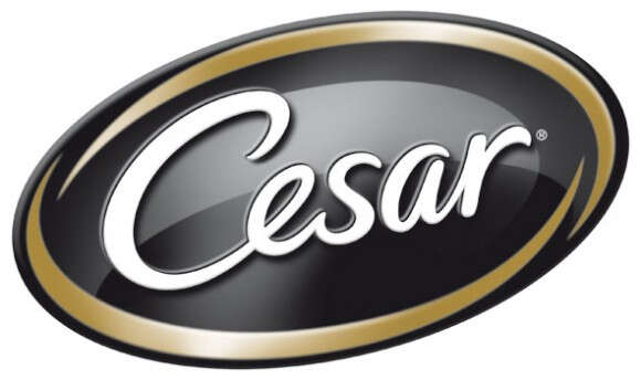 Cesar Hunde-Nassfutter Klassik-Terrine mit saftigem Rind und Leber